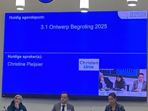 begroting 2025